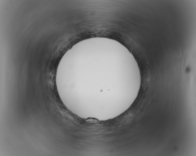 X0000111781010200908131343