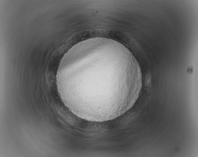 X0000111781011200908131343