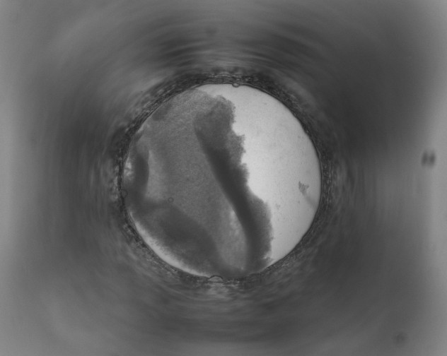 X0000111781013200908131343