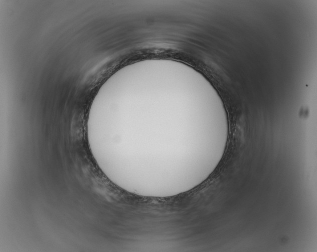 X0000111781014200908131343