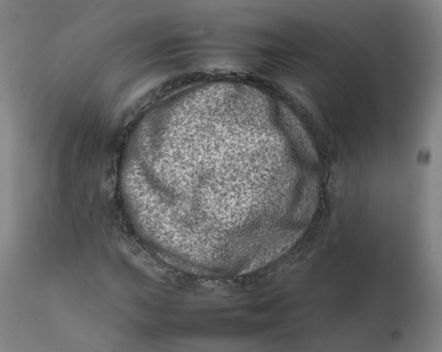 X0000111781015200908131343