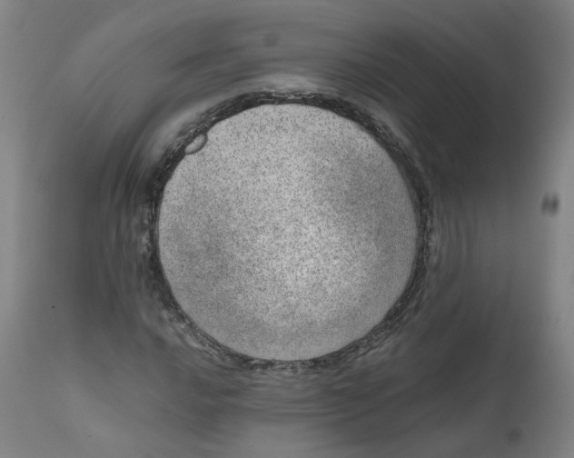 X0000111781016200908131343