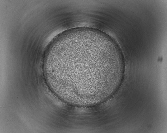 X0000111781019200908131343