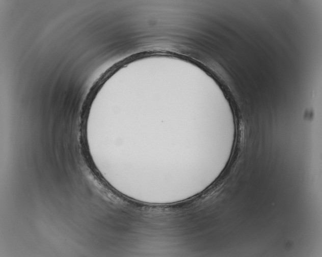 X0000111781020200908131343