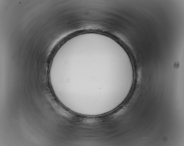 X0000111781021200908131343