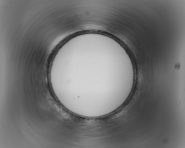 X0000111781022200908131343