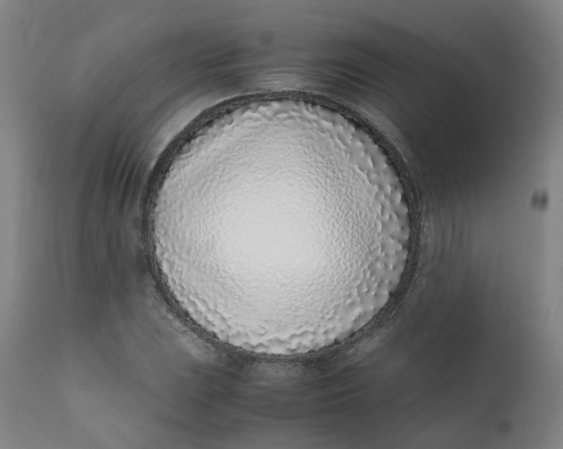 X0000111781023200908131343