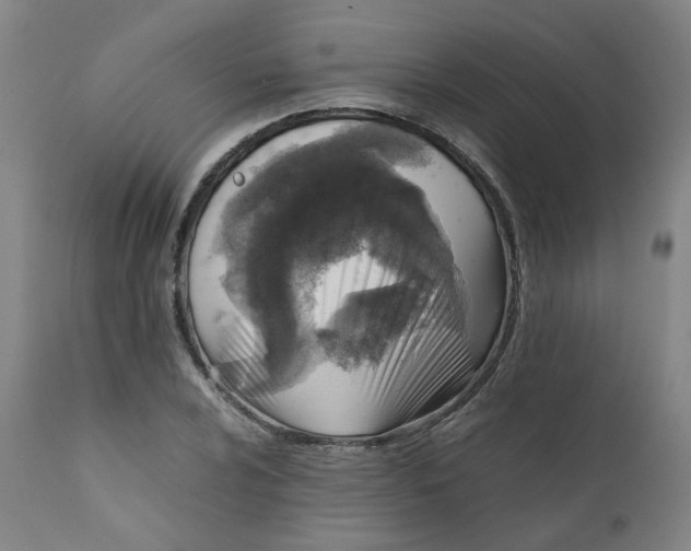 X0000111781024200908131343