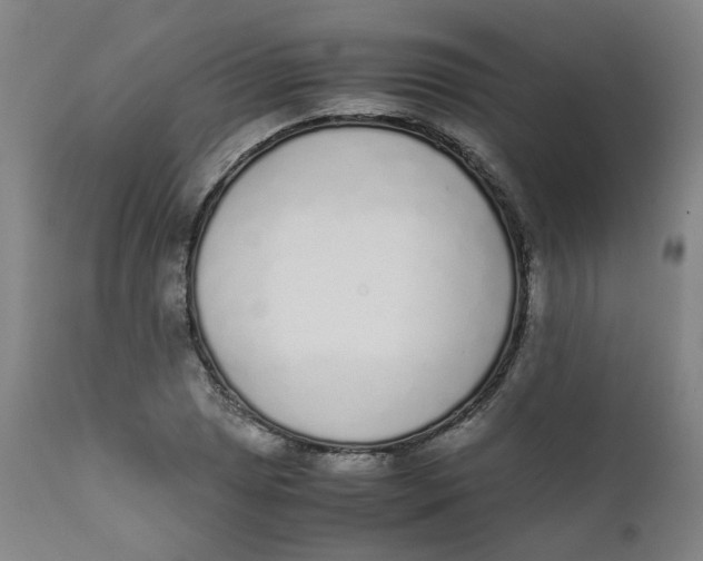 X0000111781025200908131343