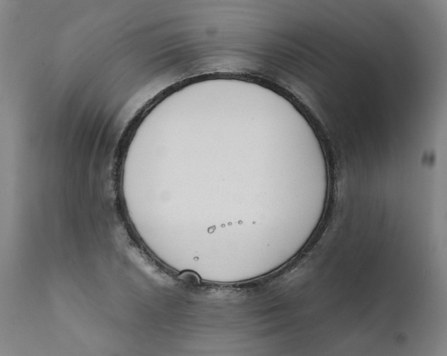 X0000111781026200908131343