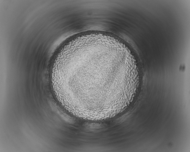 X0000111781027200908131343