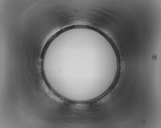 X0000111781029200908131343