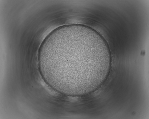 X0000111781031200908131343