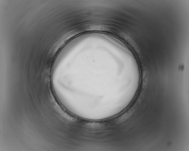 X0000111781033200908131343