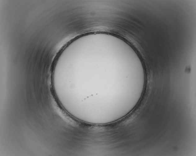 X0000111781034200908131343