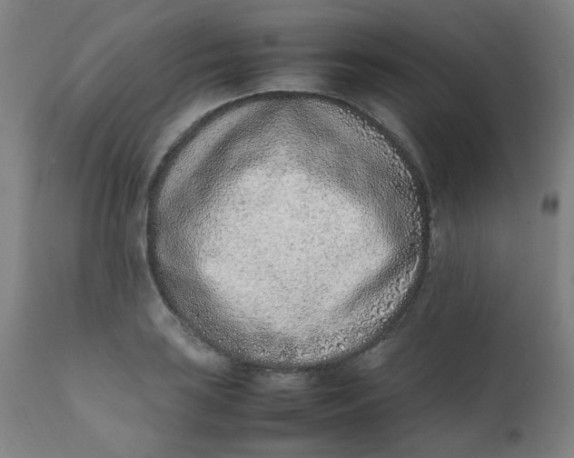X0000111781035200908131343