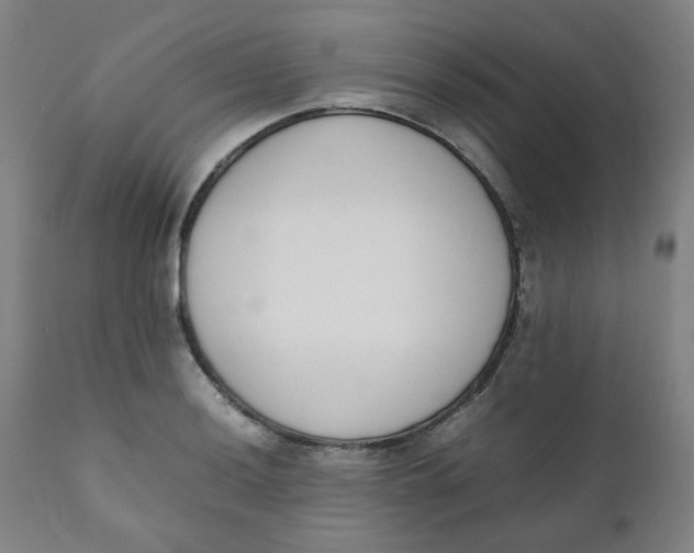 X0000111781036200908131343