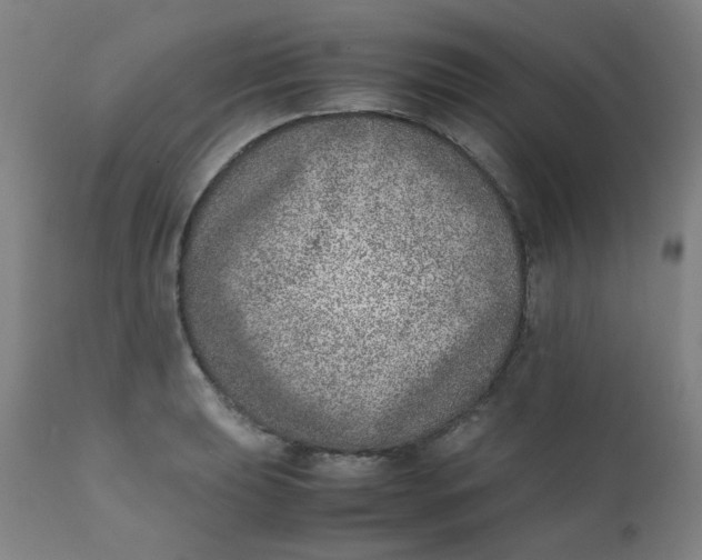X0000111781039200908131343
