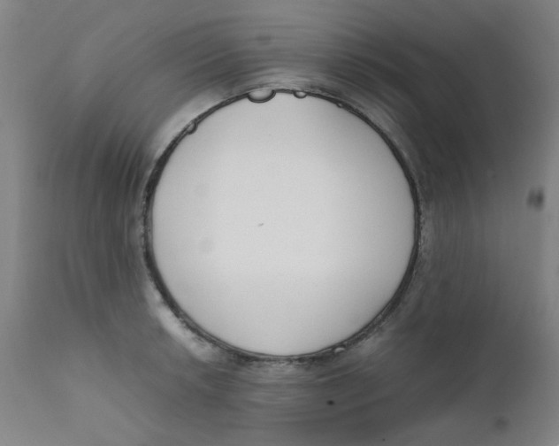 X0000111781042200908131343
