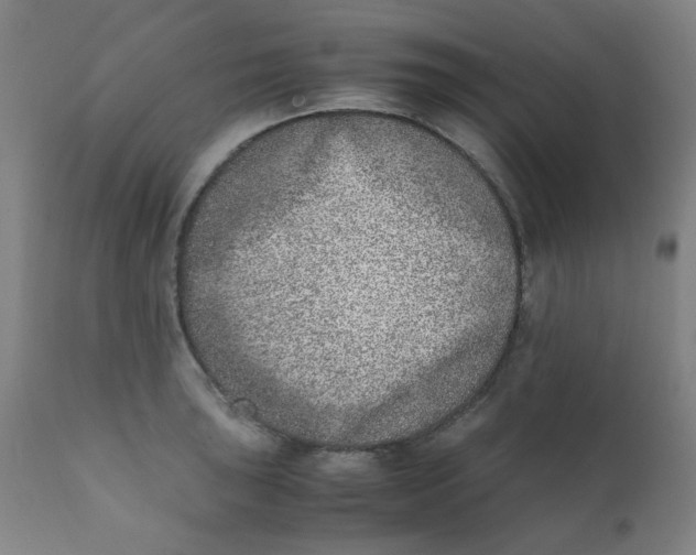 X0000111781043200908131343