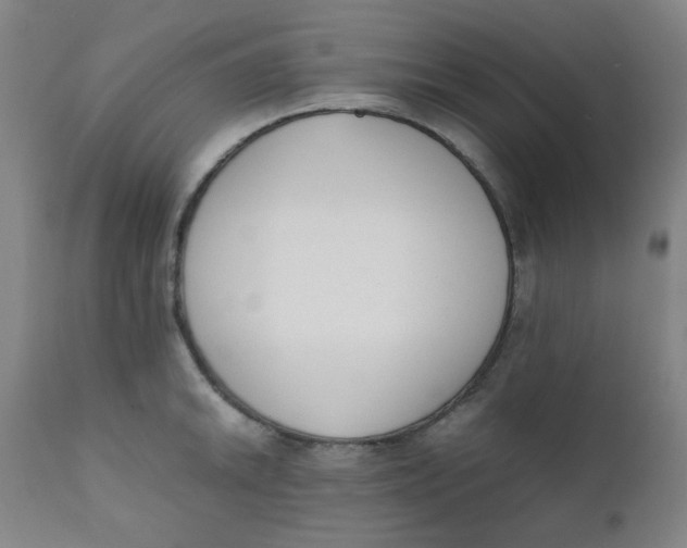 X0000111781046200908131343