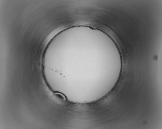 X0000111781050200908131343