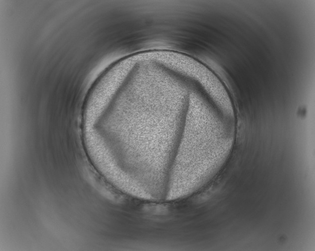 X0000111781051200908131343