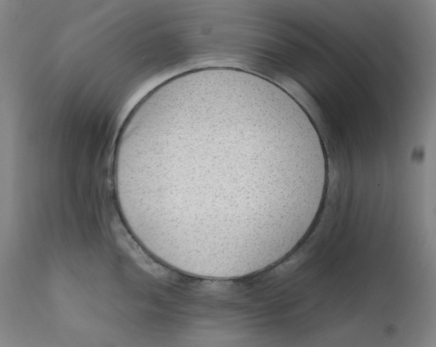 X0000111781052200908131343