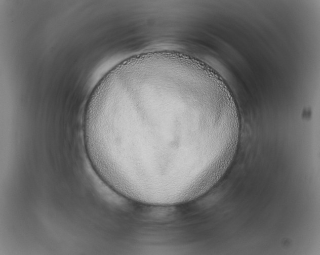 X0000111781055200908131343