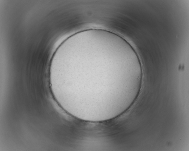 X0000111781056200908131343