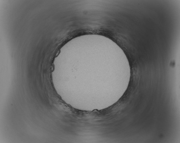 X0000111781057200908131343