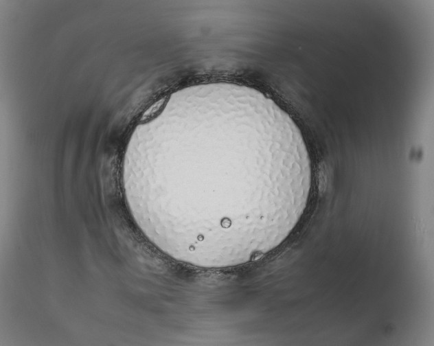 X0000111781059200908131343