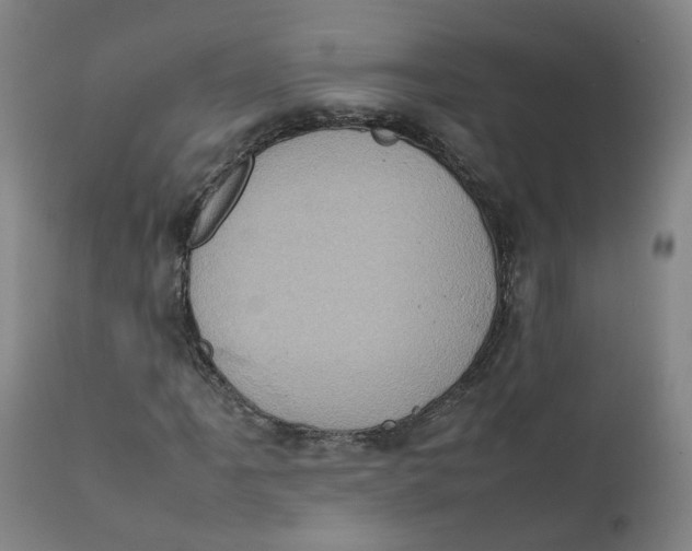 X0000111781061200908131343