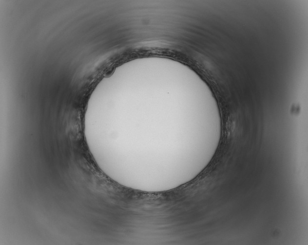 X0000111781062200908131343