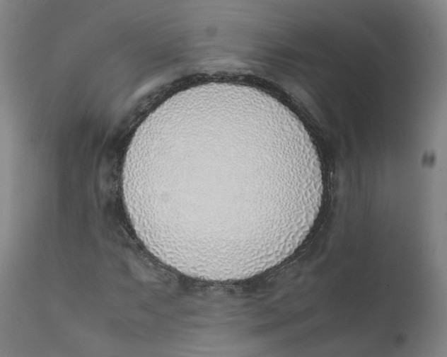 X0000111781063200908131343