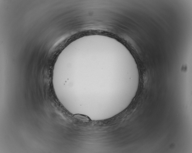 X0000111781064200908131343