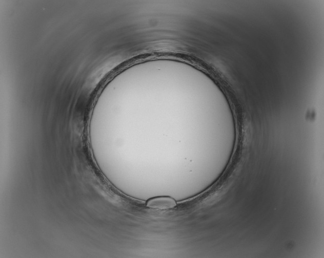 X0000111781065200908131343