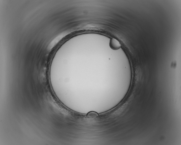 X0000111781066200908131343