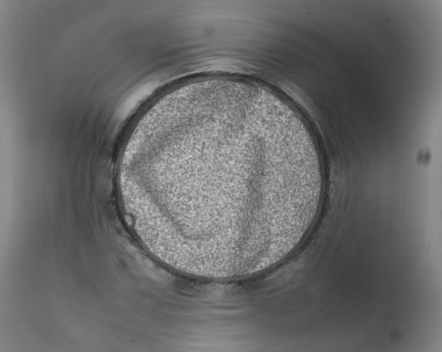 X0000111781067200908131343