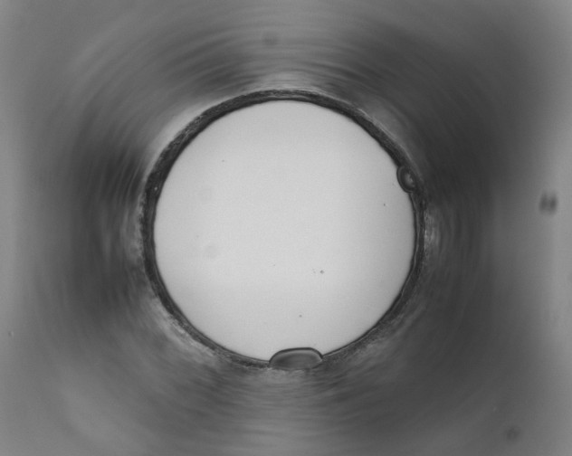 X0000111781068200908131343