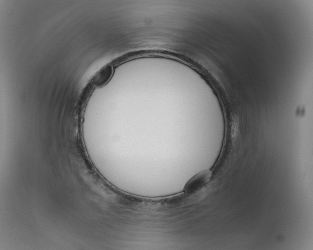 X0000111781069200908131343