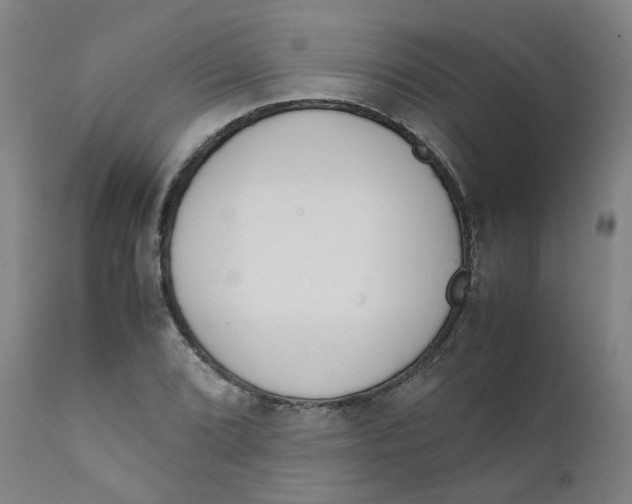X0000111781072200908131343