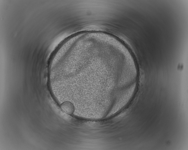 X0000111781075200908131343