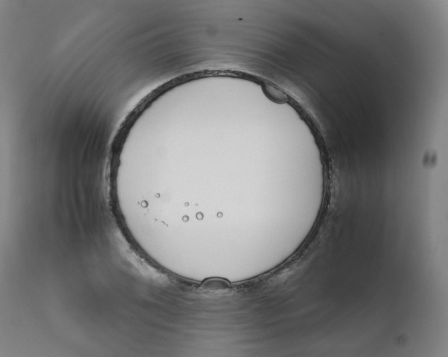 X0000111781076200908131343