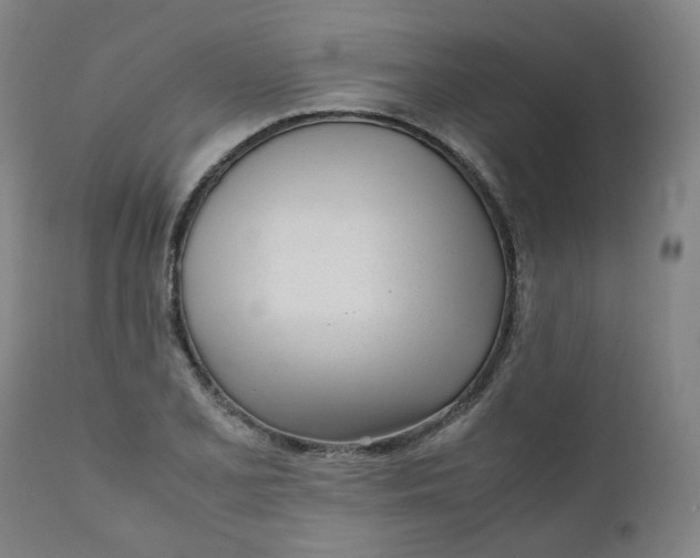 X0000111781077200908131342