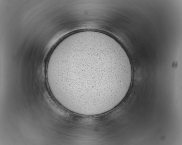 X0000111781078200908131342