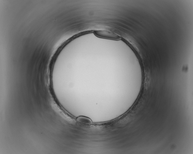 X0000111781080200908131342