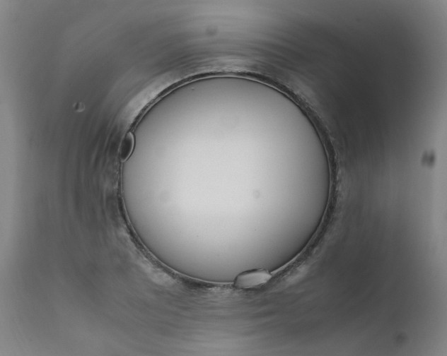 X0000111781081200908131342