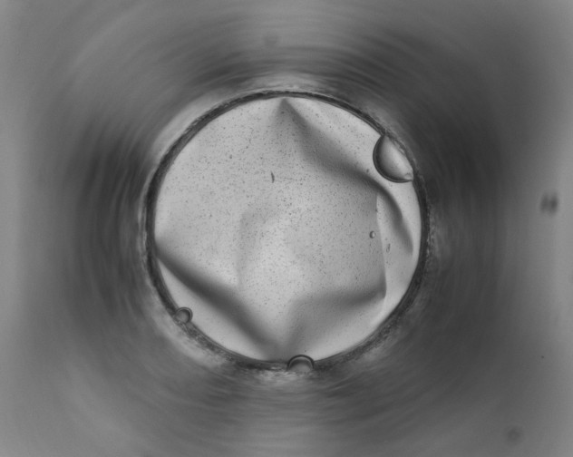X0000111781082200908131342