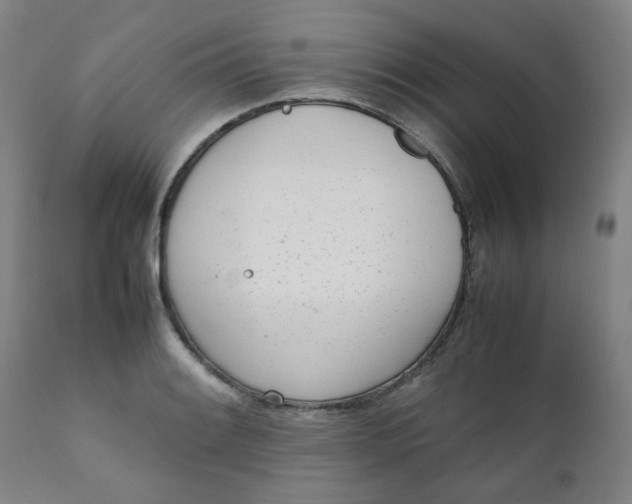 X0000111781084200908131342
